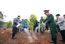 Chỉ thị của Thủ tướng Chính phủ về tổ chức “Tết trồng cây đời đời nhớ ơn Bác Hồ” và tăng cường công tác quản lý, bảo vệ, phát triển rừng