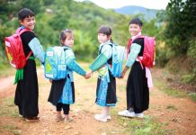 Các yếu tố tác động đến thực hiện chính sách phát triển nguồn nhân lực là người dân tộc thiểu số ở Việt Nam