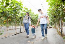 Phát triển nông nghiệp sinh thái ở thành phố Hà Nội