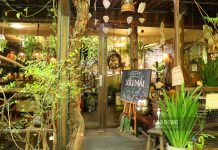 Đánh giá tác động của tiếp thị xanh đến hình ảnh thương hiệu và lòng tin của khách hàng