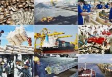 Nhận diện nguy cơ và giải pháp cho kiểm soát quyền lực trong phòng, chống tham nhũng chính sách ở các đơn vị sự nghiệp công lập hiện nay