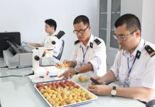 Hoàn thiện tổ chức cơ quan chuyên ngành bảo vệ và kiểm dịch thực vật theo hướng tinh gọn, hoạt động hiệu lực, hiệu quả
