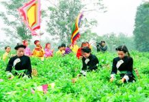 Nâng cao hiệu quả thực hiện chính sách an sinh xã hội cho vùng đồng bào dân tộc thiểu số tại tỉnh Thái Nguyên