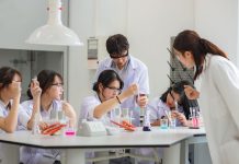 Giải pháp tăng cường hiệu quả thu hút nguồn nhân lực chất lượng cao