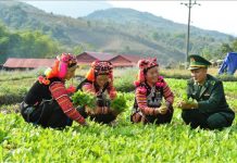 Nâng cao chất lượng tham gia xây dựng “Thế trận lòng dân” của bộ chỉ huy quân sự các tỉnh khu vực Tây Nguyên