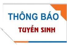 Thông báo tuyển sinh đại học chính quy năm 2024 của Học viện Hành chính Quốc gia tại Phân viện Học viện Hành chính Quốc gia tại tỉnh Quảng Nam