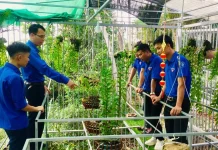 Thực hiện chính sách hỗ trợ thanh niên khởi nghiệp ở huyện Nhà Bè, TP. Hồ Chí Minh – Thực trạng và giải pháp