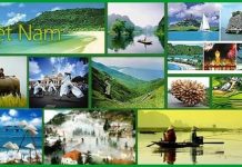 Mối quan hệ giữa phát triển kinh tế và phát triển văn hóa với việc tổ chức và quản lý văn hóa hiện nay