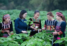 Nâng cao năng lực cán bộ vùng dân tộc thiểu số trong bối cảnh hội nhập kinh tế quốc tế