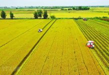 Những vấn đề đặt ra từ thực trạng tập trung ruộng đất trong sản xuất nông nghiệp ở huyện Vĩnh Tường, tỉnh Vĩnh Phúc