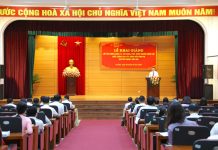 Bồi dưỡng quản lý, xây dựng, phát triển nguồn nhân lực chất lượng cao và xây dựng nền công vụ chuyên nghiệp, hiện đại