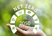 Phát triển kinh tế hướng đến mục tiêu Net Zero: Kinh nghiệm quốc tế và hàm ý chính sách cho Việt Nam