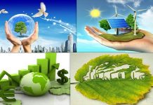 Kinh nghiệm quốc tế về bảo vệ và phát triển rừng nhằm chống biến đổi khí hậu và vấn đề hoàn thiện chính sách, pháp luật Việt Nam