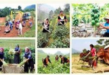 Kinh nghiệm quản lý nhà nước về giảm nghèo bền vững tại các quốc gia trên thế giới