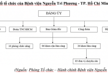 Về công tác đổi mới quản lý viên chức tại Bệnh viện Nguyễn Tri Phương