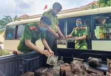 Hoàn thiện pháp luật trong điều tra tội phạm xâm hại động vật hoang dã ở Việt Nam