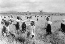 Biến đổi hành chính ở nông thôn Nam kỳ thời Pháp thuộc và vấn đề quản lý nhà nước trong công cuộc xây dựng nông thôn mới hiện nay ở Nam bộ