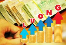 Thu hút và giữ chân nguồn nhân lực chất lượng cao đối với khu vực công ở Việt Nam – từ kinh nghiệm cải cách tiền lương của Cộng hòa Pháp