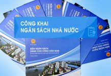 Ảnh hưởng của minh bạch ngân sách tới tài chính công bền vững của chính quyền địa phương cấp tỉnh