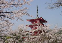 Ngoại giao văn hóa trong triển khai chính sách đối ngoại của Nhật Bản trong thế kỷ XXI – khuyến nghị cho Việt Nam