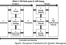 Ảnh hưởng của hành vi lãnh đạo và đặc thù chuyên môn hành chính đến hiệu suất của tổ chức