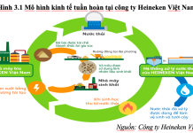 Phân tích hiệu quả kinh doanh tại các doanh nghiệp áp dụng kinh tế tuần hoàn ở Việt Nam