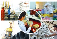 Từ tư tưởng cơ bản của V.I.Lênin trong chính sách kinh tế mới đến nhiệm vụ xây dựng, phát triển nền kinh tế thị trường định hướng xã hội chủ nghĩa ở Việt Nam