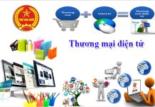 Quản lý thuế đối với thương mại điện tử tại Việt Nam