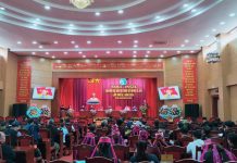 Nâng cao chất lượng nguồn nhân lực dân tộc thiểu số góp phần phát triển bền vững miền núi hiện nay