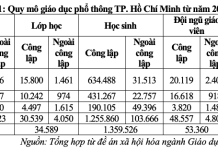 Tình hình thực hiện công tác xã hội hóa giáo dục phổ thông trên địa bàn TP. Hồ Chí Minh