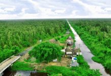 Điều hướng các chiến lược kinh doanh và chính sách trong việc thực hiện REDD+, trường hợp của Việt Nam