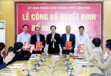 Giải pháp nâng cao chất lượng đội ngũ công chức các cơ quan chuyên môn thuộc Ủy ban nhân dân thành phố Cẩm Phả, tỉnh Quảng Ninh