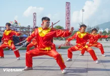 Quản lý nhà nước về bảo tồn và phát huy võ cổ truyền trên địa bàn tỉnh Bình Định
