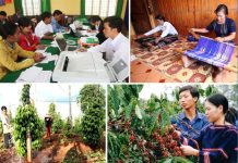 Giảm nghèo bền vững vùng đồng bào dân tộc thiểu số khu vực Tây Nguyên