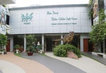 Phát triển nhân lực trong hệ thống bảo tàng Thiên nhiên Việt Nam hướng tới sự phát triển bền vững