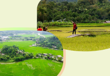 Lào Cai triển khai thực hiện có hiệu quả Chương trình chuyên đề phục vụ xây dựng nông thôn mới