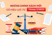Chính sách mới có hiệu lực từ tháng 02/2025