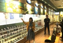 Các yếu tố tác động đến thực hiện chính sách phát triển nhân lực trong hệ thống Bảo tàng Thiên nhiên Việt Nam