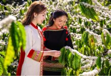 Họp báo Lễ hội Cà phê Buôn Ma Thuột lần thứ 9 năm 2025