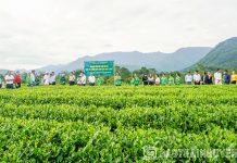 Vận dụng quy luật giá trị của C. Mác vào phát triển sản xuất nông nghiệp hàng hóa ở tỉnh Thái Nguyên