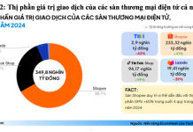 Một số thách thức của hoạt động thương mại điện tử ở Việt Nam