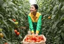 Tác động của người có ảnh hưởng trên mạng xã hội đến hành vi mua thực phẩm lành mạnh tại Việt Nam