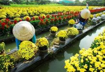 Quản lý làng nghề truyền thống ở tỉnh Đồng Tháp hiện nay