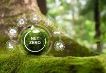 Kinh nghiệm về Net Zero của Đài Loan (Trung Quốc) và hàm ý cho Việt Nam