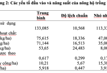 Sản xuất hàng hóa nông nghiệp theo quy mô lớn: trường hợp điển hình trong sản xuất lúa