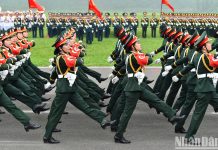 Vận dụng tư tưởng Ph.Ăngghen về sức mạnh chiến đấu của quân đội trong xây dựng tinh, gọn mạnh, tiến thẳng lên hiện đại trong kỷ nguyên mới