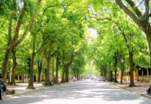 Hành vi đầu tư xanh của các doanh nghiệp đầu tư trực tiếp nước ngoài trên địa bàn thành phố Hà Nội