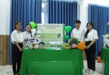 Vai trò của Nhà nước trong hỗ trợ khởi nghiệp xanh tại Việt Nam