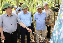 Bình Định đẩy mạnh xây dựng hạ tầng giao thông thúc đẩy kinh tế phát triển