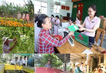 Nâng cao vai trò của hội trong quản trị nhà nước: Phân tích từ các lý thuyết có liên quan và thực tiễn ở Việt Nam